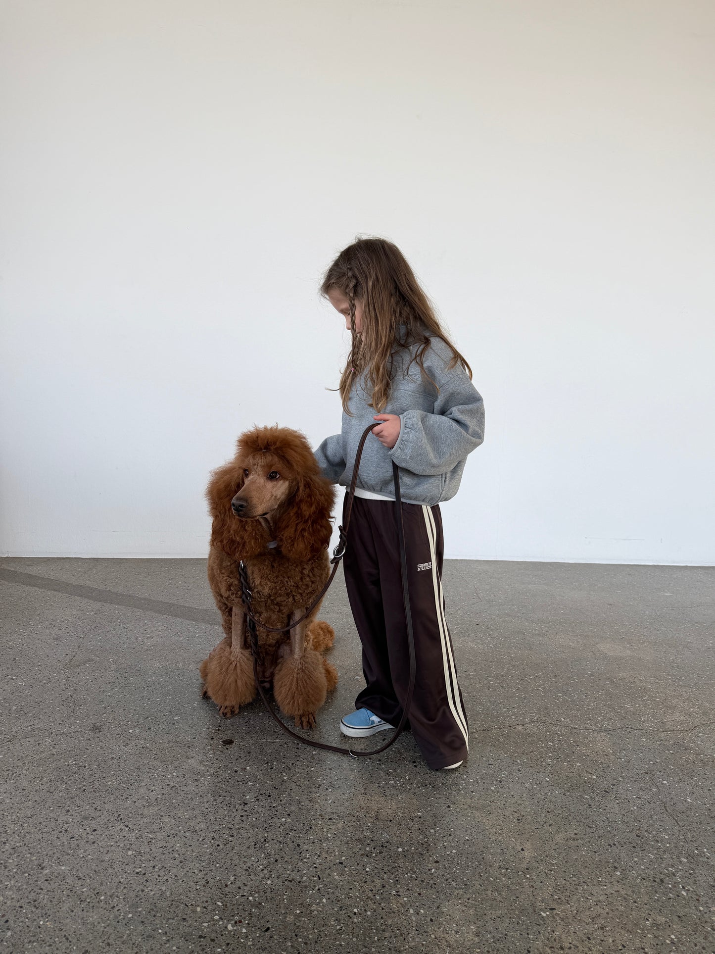 Harvey Pants Brown