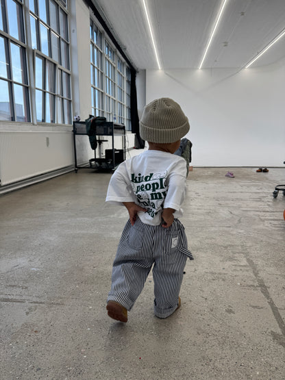 Emil Skater Jeans STRIPE